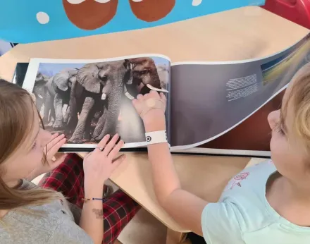MIKOŁAJAKI Z DZIKIMI ZWIERZĘTAMI!