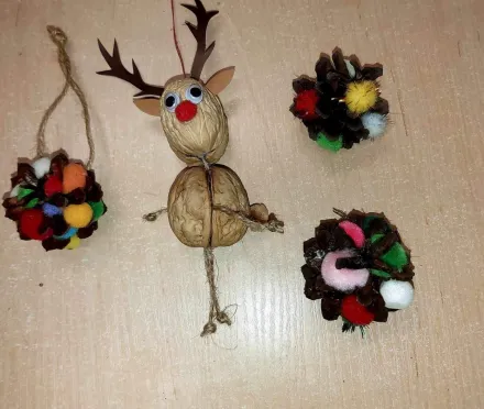 ECO-CHOINKA