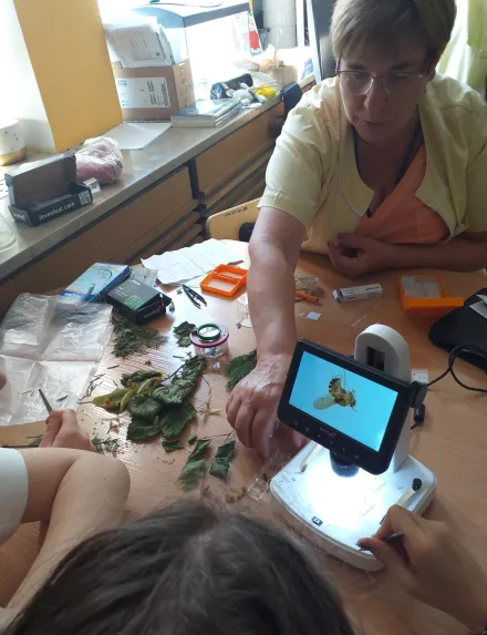 Dzień Dziecka z dydaktyką