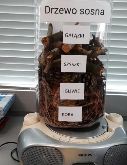 ESIENNY KĄCIK PRZYRODNICZY