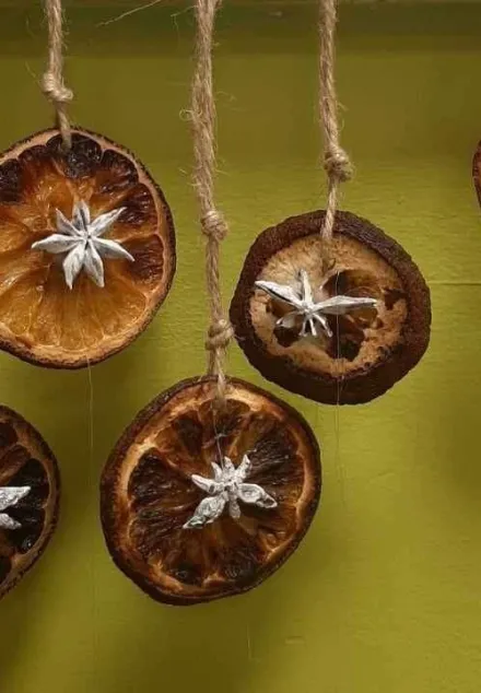 ECO-CHOINKA